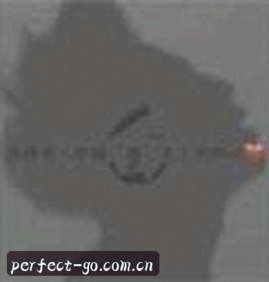 赵静